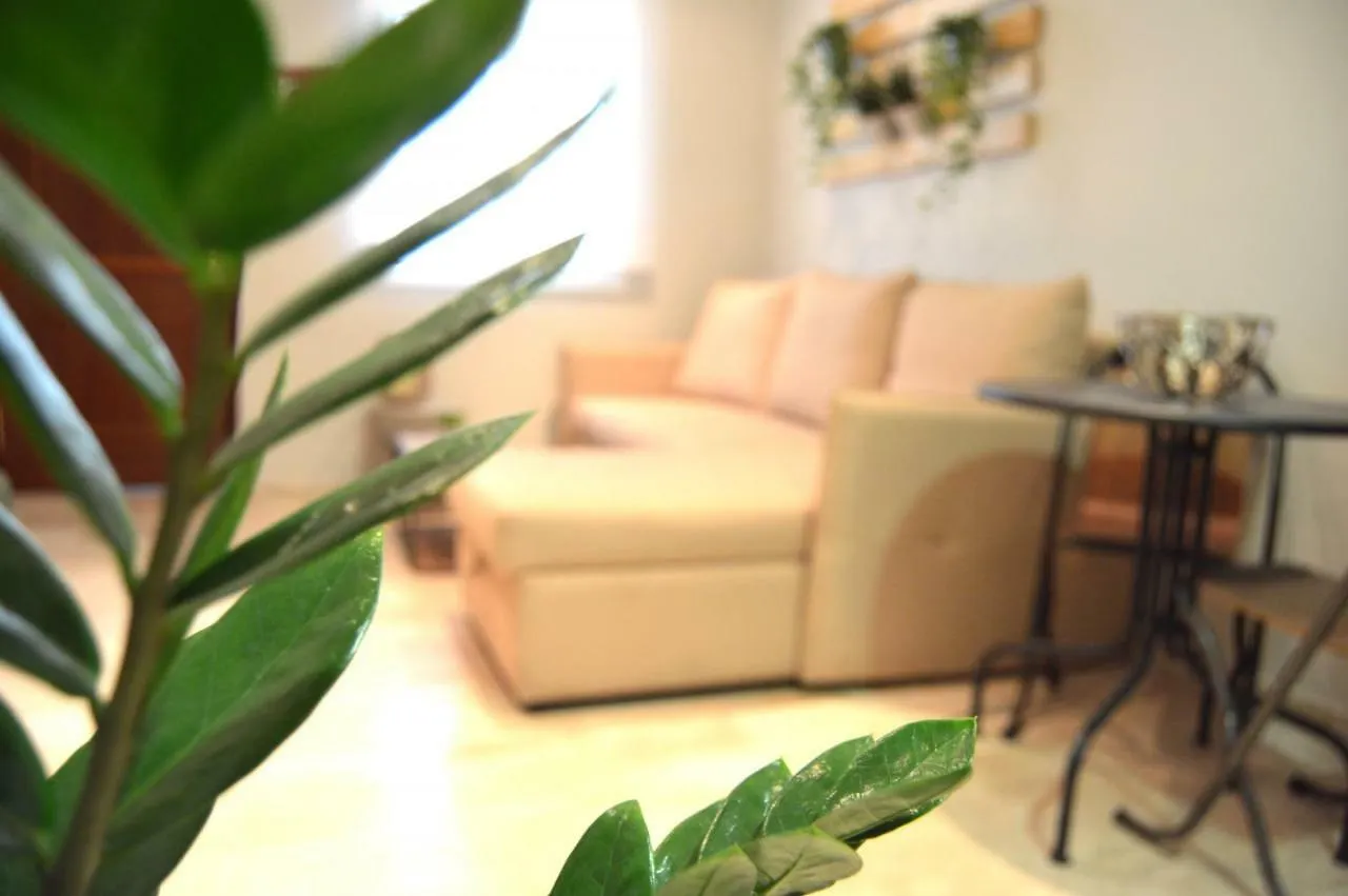 加的斯Apartamento La Vina公寓 0*, 加的斯